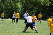 OTFL Gallery Image